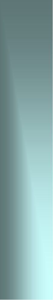 Text Box:  